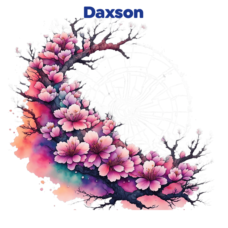 Cover von Daxson